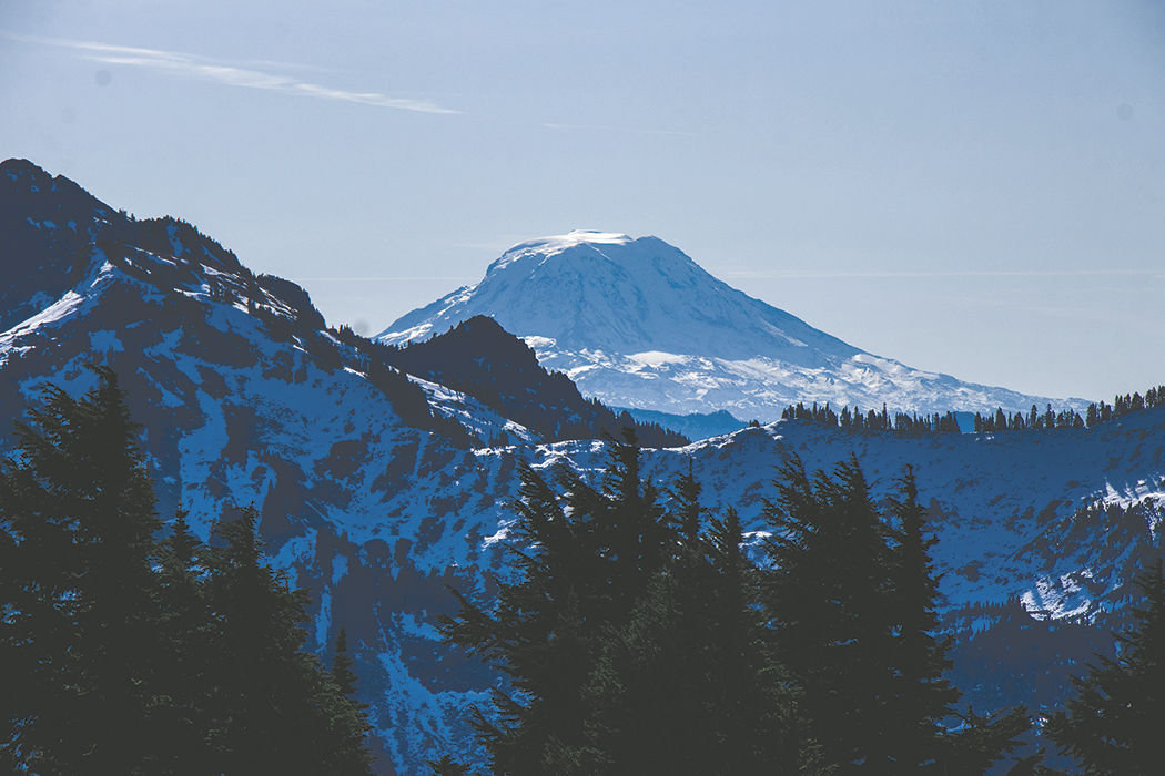 Photos: From Paradise in Mount Rainier National Park